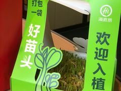 -海底捞火锅(扬名广场店)