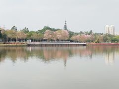 -海珠湖公园
