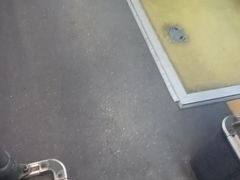 -凯德MALL(望京店)