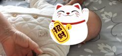 -龙文宝贝上门婴儿理发满月剃胎毛(总店)