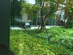 -融侨大酒店-榕苑自助餐厅