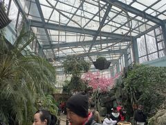 -天目湖山水园