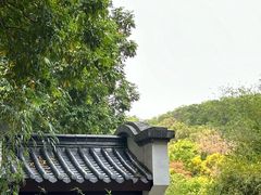 -深圳国际园林花卉博览园