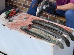 -老四川平头酸菜鱼(衙前店)