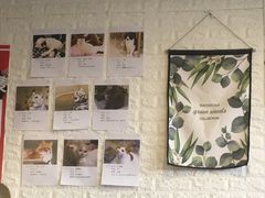 -平行世界·猫咖(首经贸店)