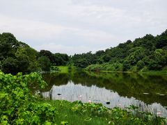 -福建鲤鱼洲酒店