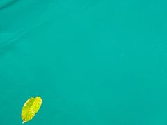 -三门海