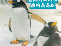 -正佳极地海洋世界