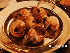 -金蜗牛