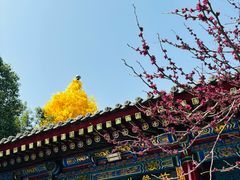 -西安市广仁寺