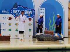 -秦皇岛乐岛海洋王国