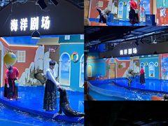-重庆欢乐海底世界