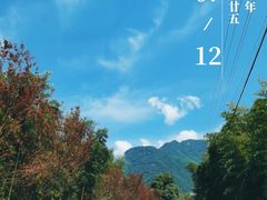 -东天目山风景区