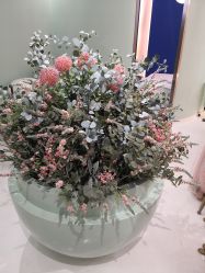 -好看加白色房子
