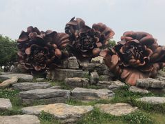 -上海海湾国家森林公园