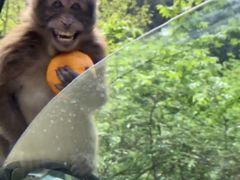 -有礼有面(知春路店)