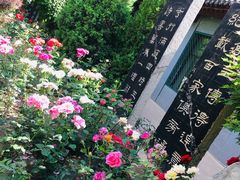 -碑林公园