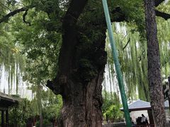 -晋祠公园