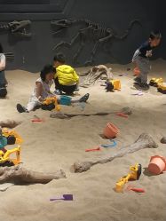 -龙小湖探索乐园 Little Hoo Galaxy(龙湖重庆金沙天街店)