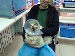 iphone_upload_pic-纳吉亚猫专科动物诊疗中心(蒋宅口分院)