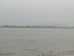 -深圳湾公园(南山区)