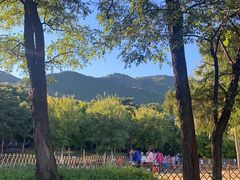 -北京西山国家森林公园