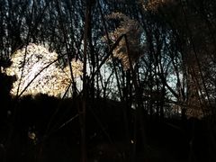 -布鲁豪斯亲子欢乐家庭餐厅