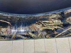 -欧记·龙城港(欣都店)