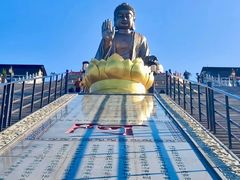 -龙口南山旅游景区