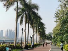 -珍宝轩海鲜火锅(碧湖大厦店)
