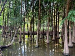 -捞渔河湿地公园