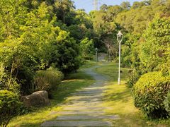 -金鸡山公园
