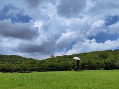 -苏州上方山国家森林公园