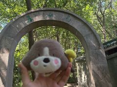 -杭州黄龙洞