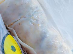 -安徽阜阳卷馍(西单店)