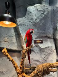 -Zoolung Zoolung动物主题公园(海信广场店)