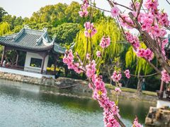 -无锡蠡湖国家湿地公园-蠡园