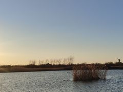 -盐城丹顶鹤湿地生态旅游区