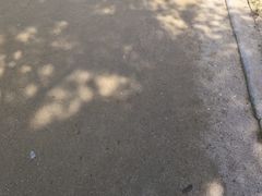 -景福宫