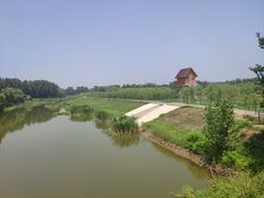 -东郊湿地公园