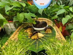 -海悦港蒸汽海鲜·和牛火锅自助餐厅
