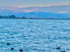 -西昌邛海湿地