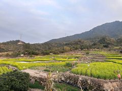 -苏格里岛自助海鲜烤肉火锅(集美万达店)