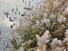 -野鸭湖国家湿地公园