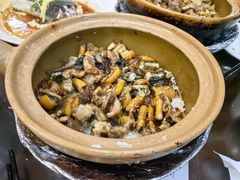 -红星光发煲仔饭(文海店)