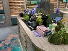 -MUJOSH木九十眼镜(苏州中心店)