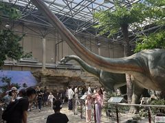 -国家自然博物馆