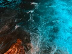 -老号尤兔头(西川店)