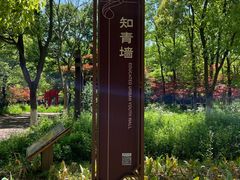 -东平国家森林公园