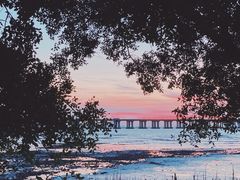 -宝安西湾红树林湿地公园